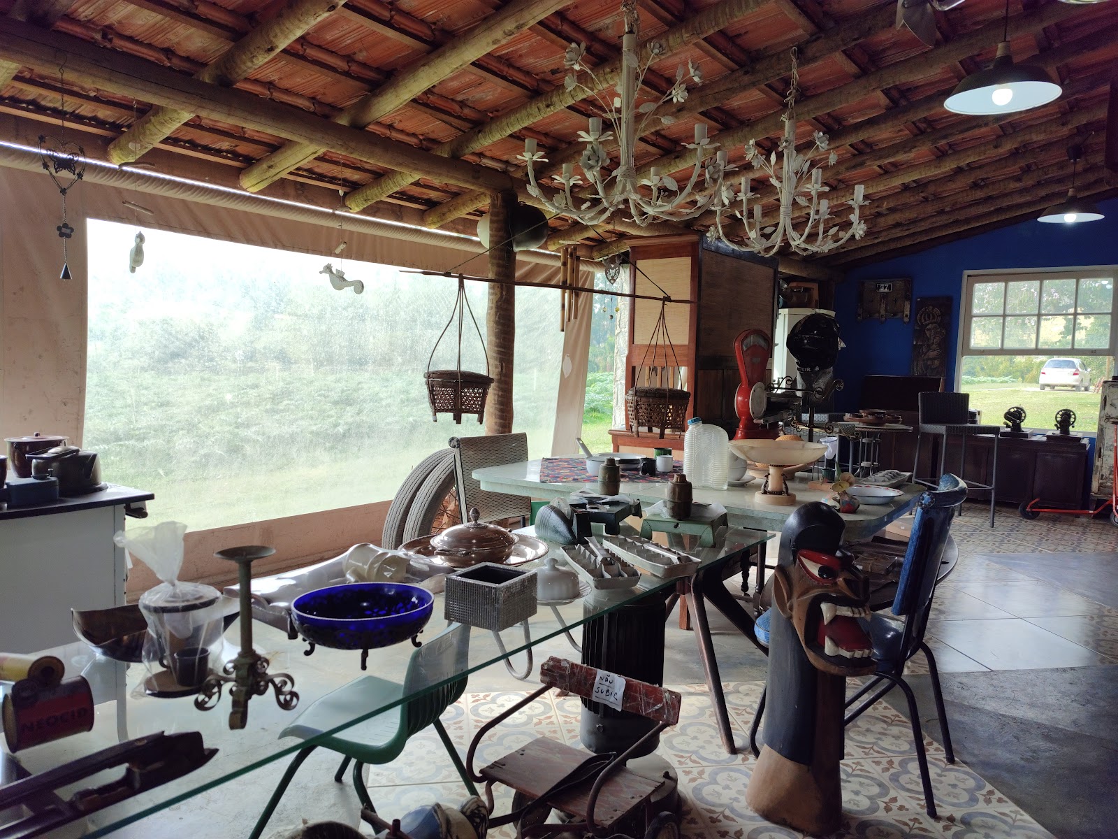 Alcachofras & Antiguidades