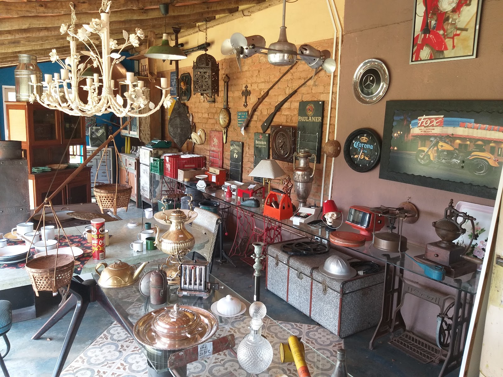 Alcachofras & Antiguidades