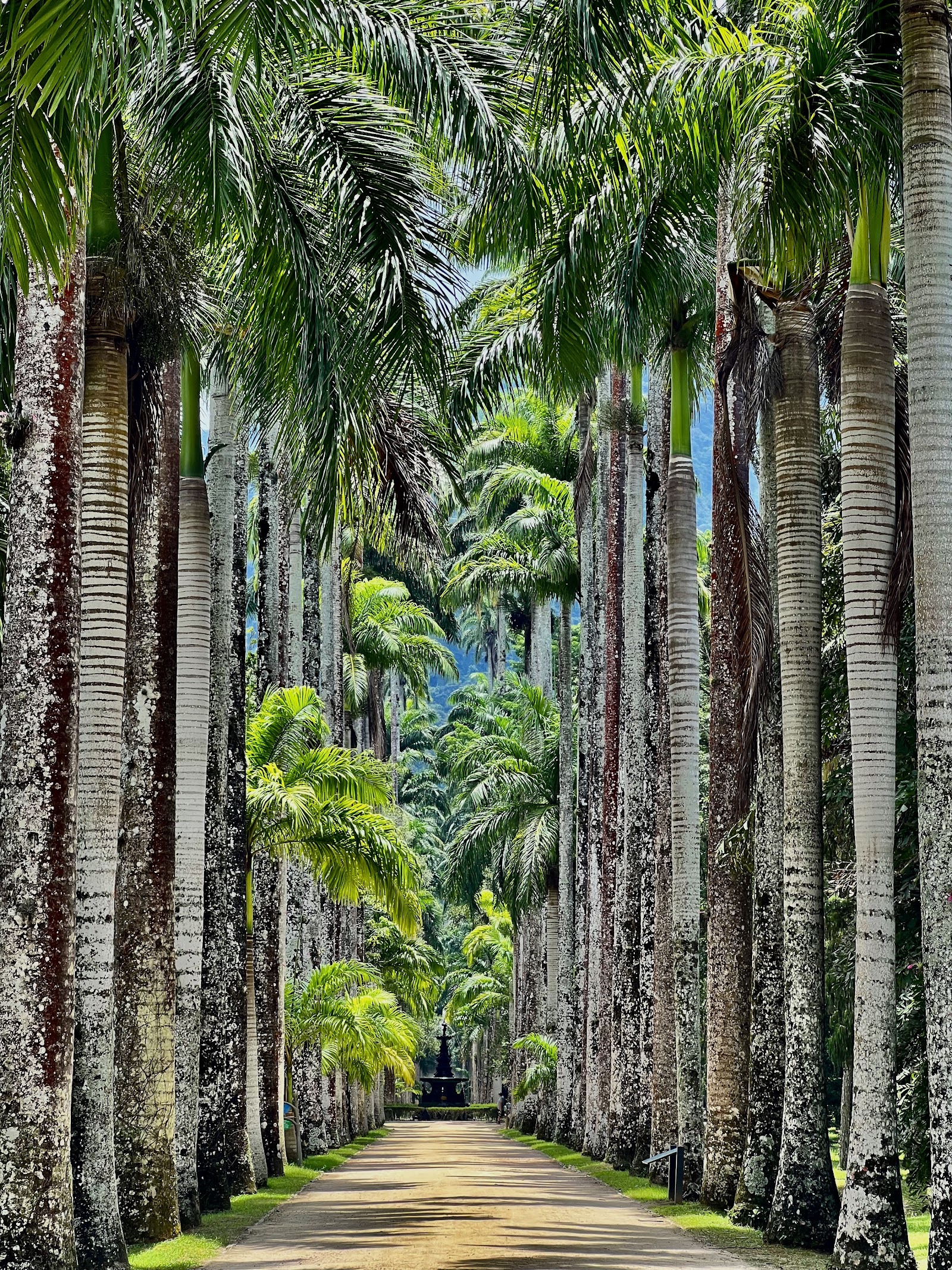 Botanical Garden of Rio de Janeiro