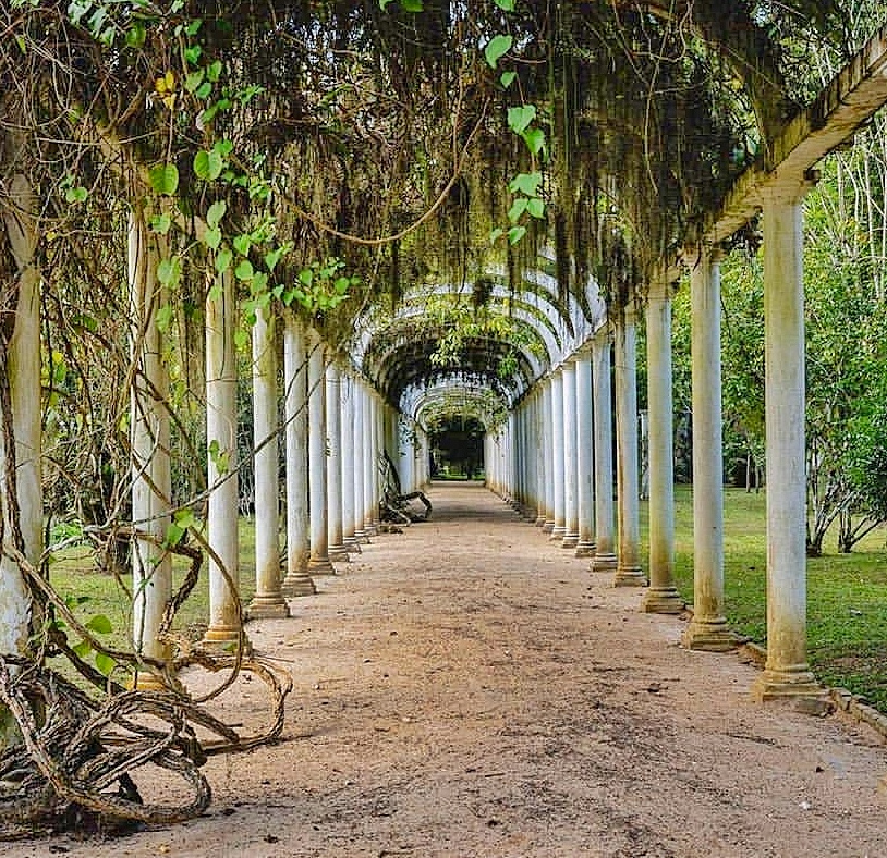Botanical Garden of Rio de Janeiro