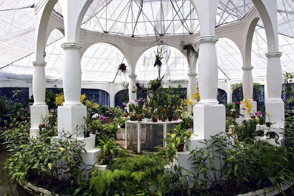 Botanical Garden of Rio de Janeiro