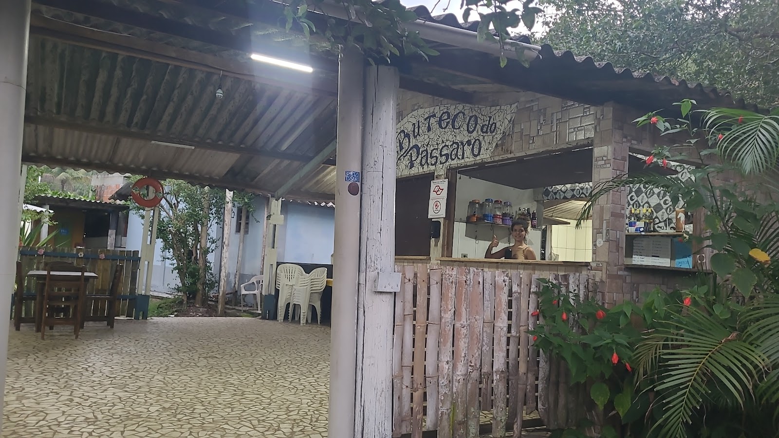 Do Pássaro Prainha Branca