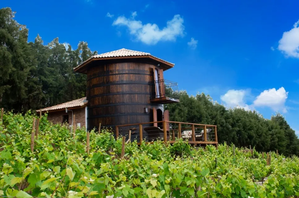 Hospedagem Quinta do Olivardo