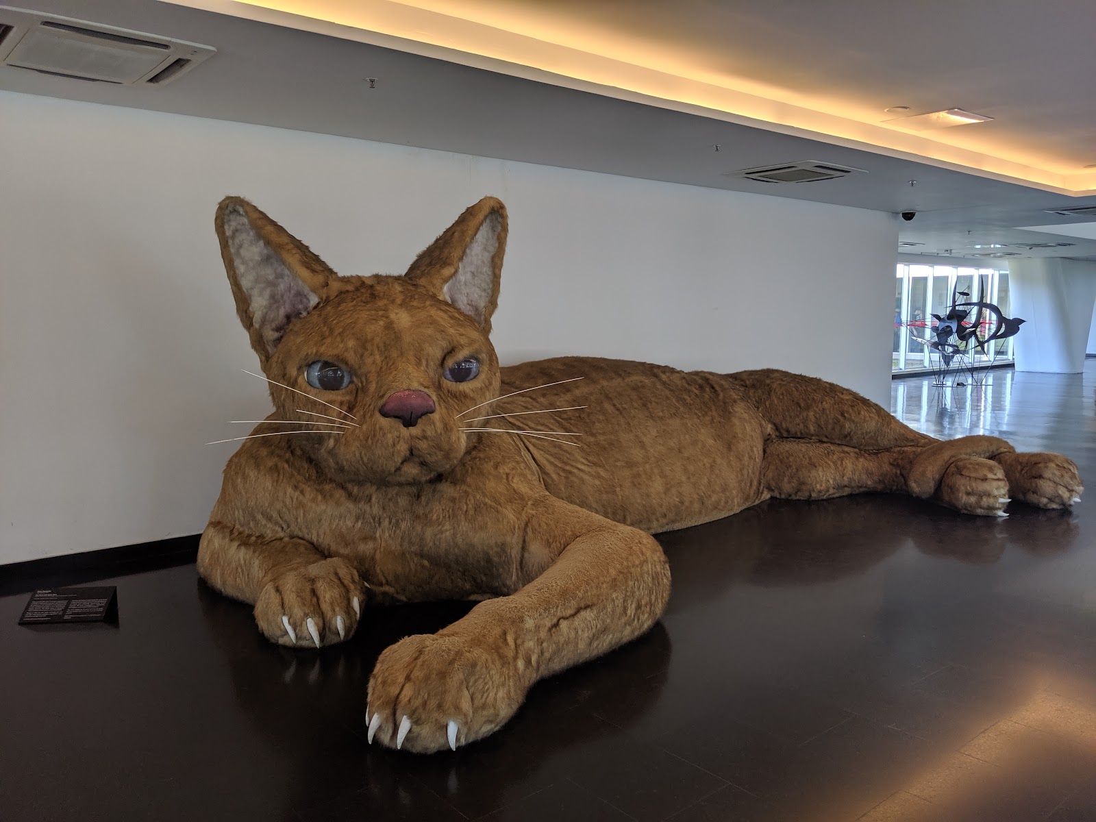 Museum of Contemporary Art at the University of São Paulo