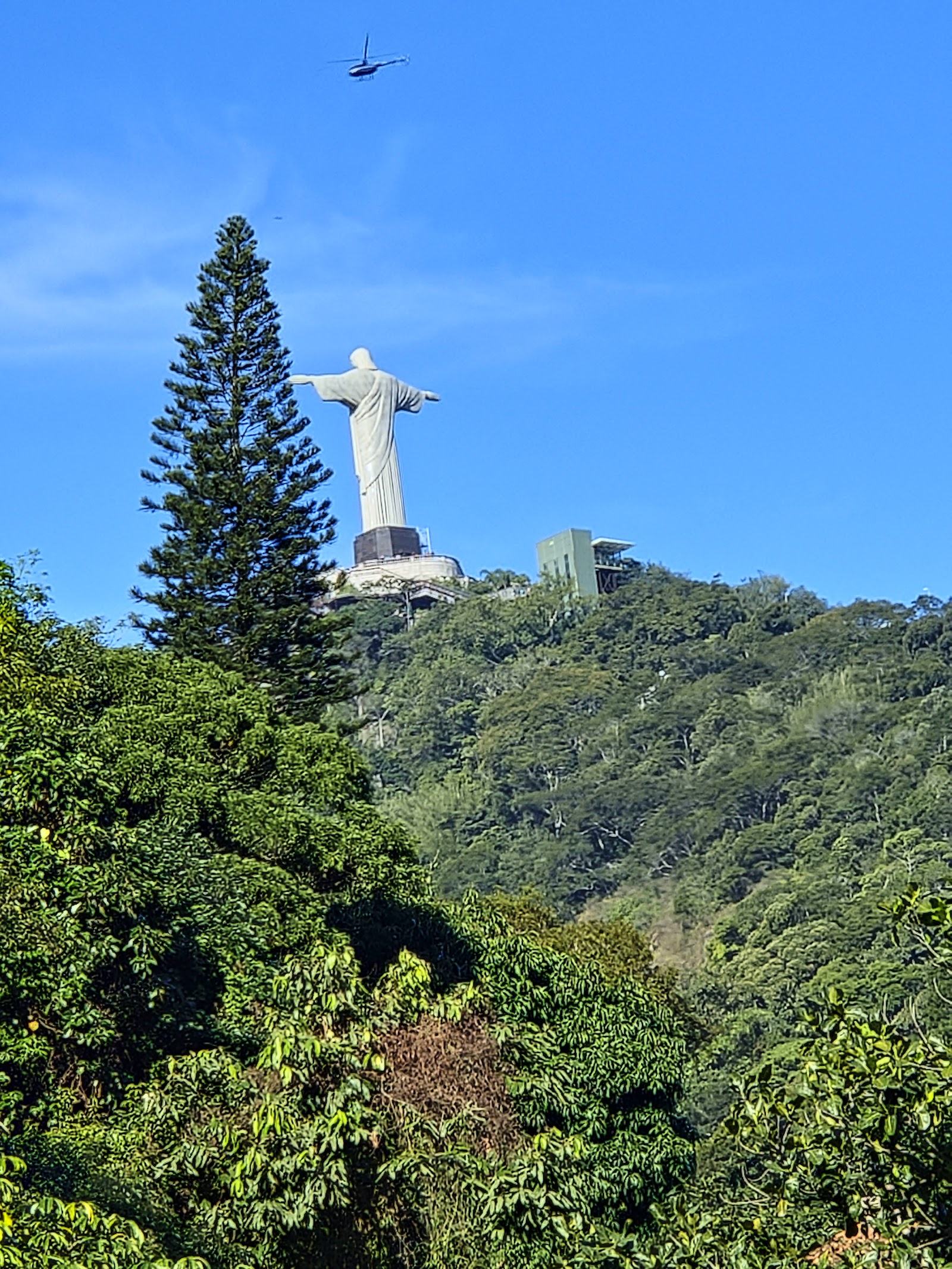 Paineiras Corcovado (Cristo Redentor)