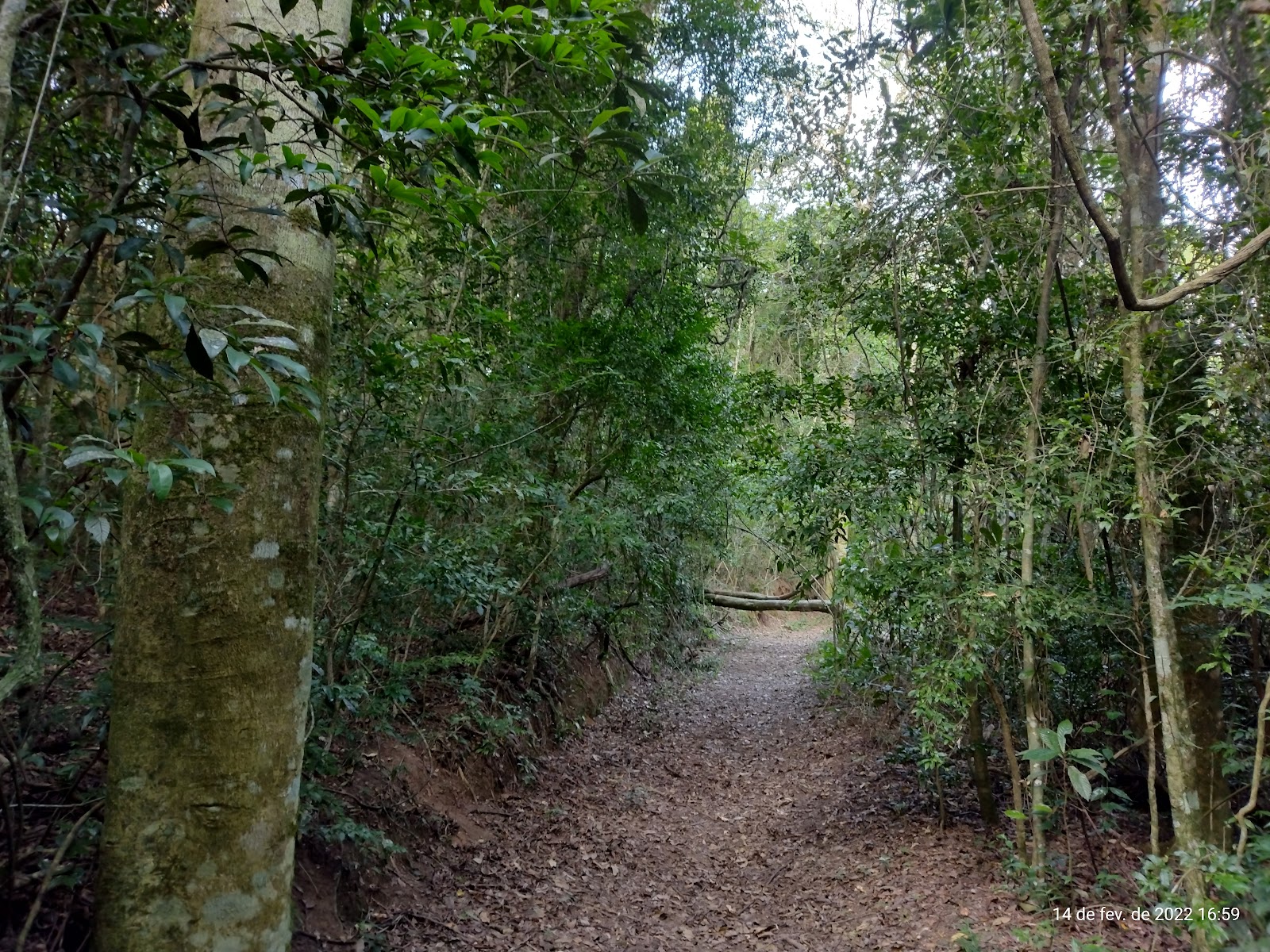 Parque Natural Municipal Mata da Câmara