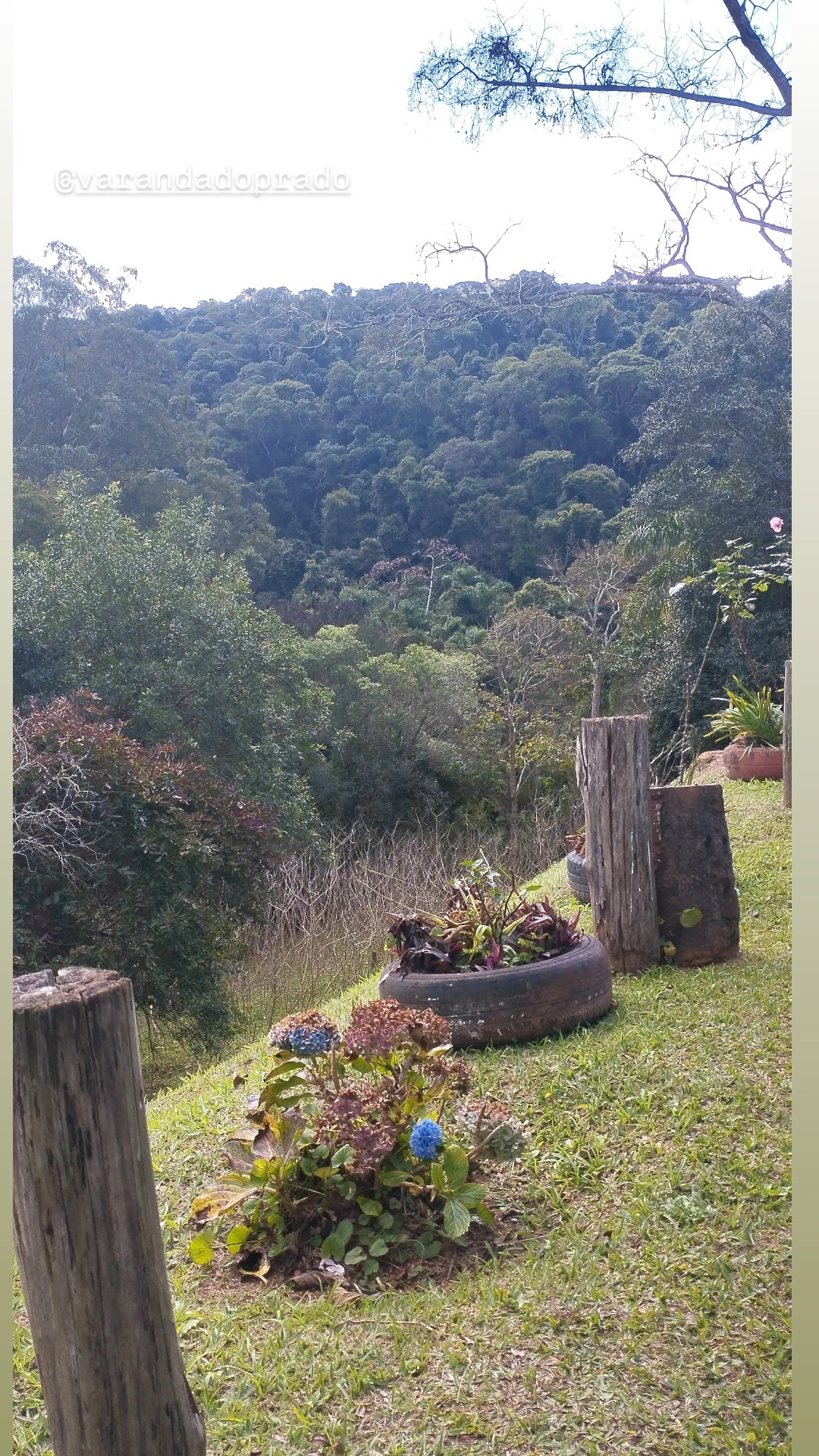 Restaurante Varanda do Prado | Rota do Vinho