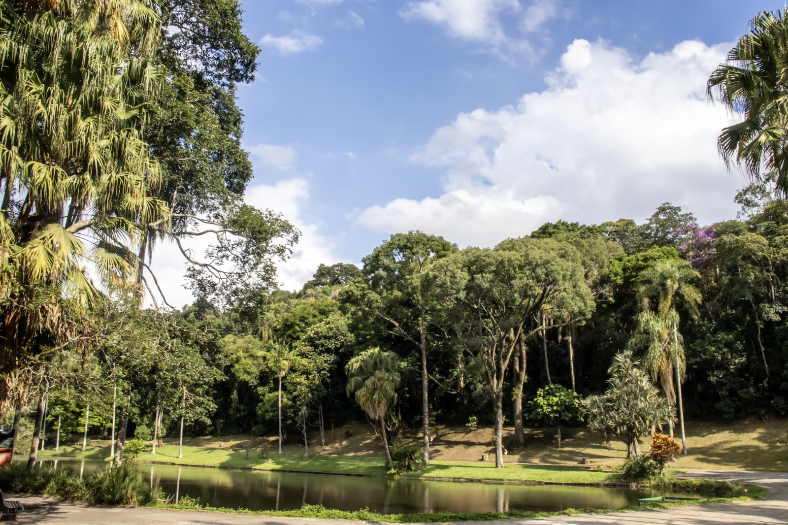 São Paulo Botanical Garden