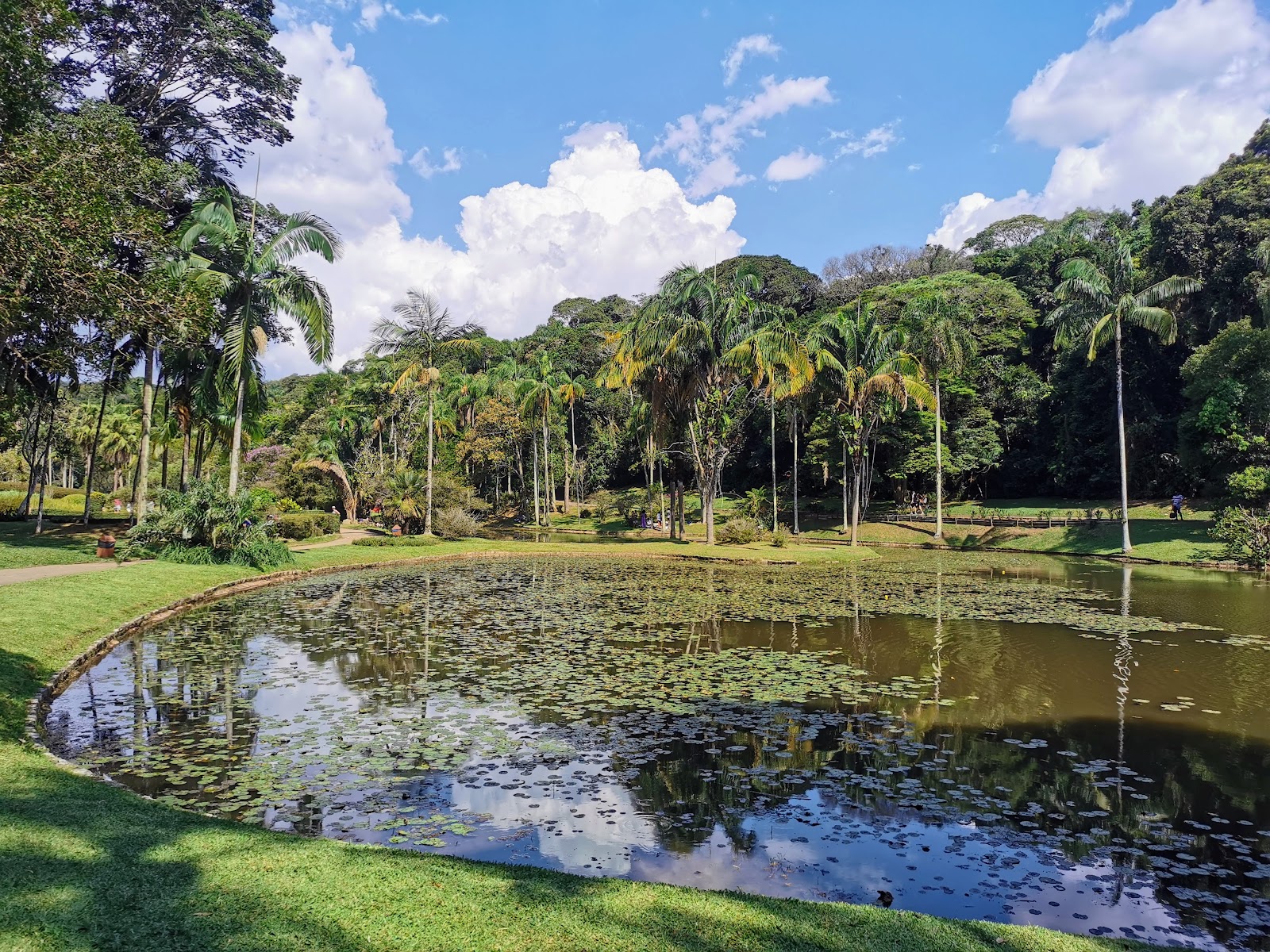 São Paulo Botanical Garden