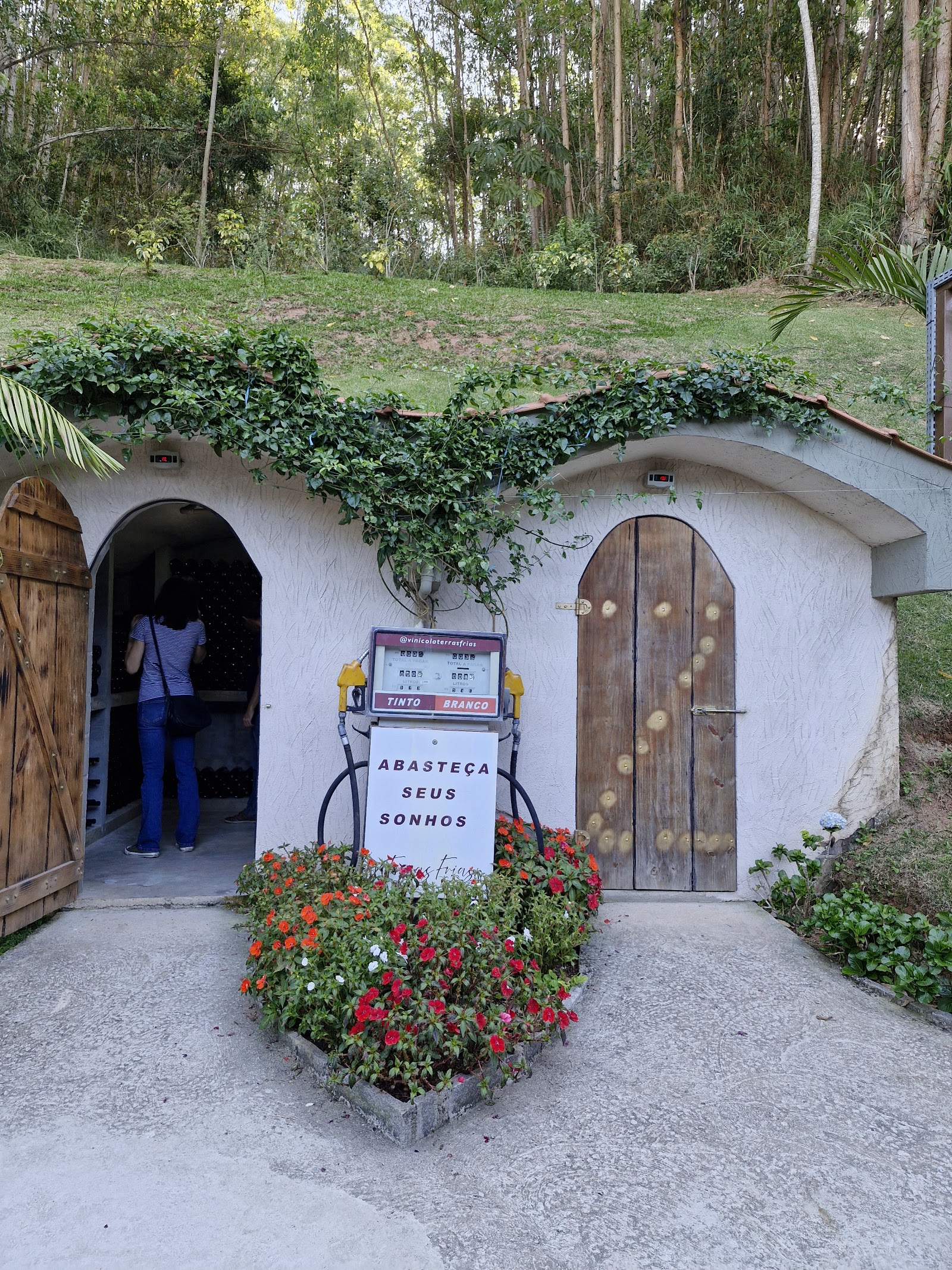 Vinícola Terras Frias