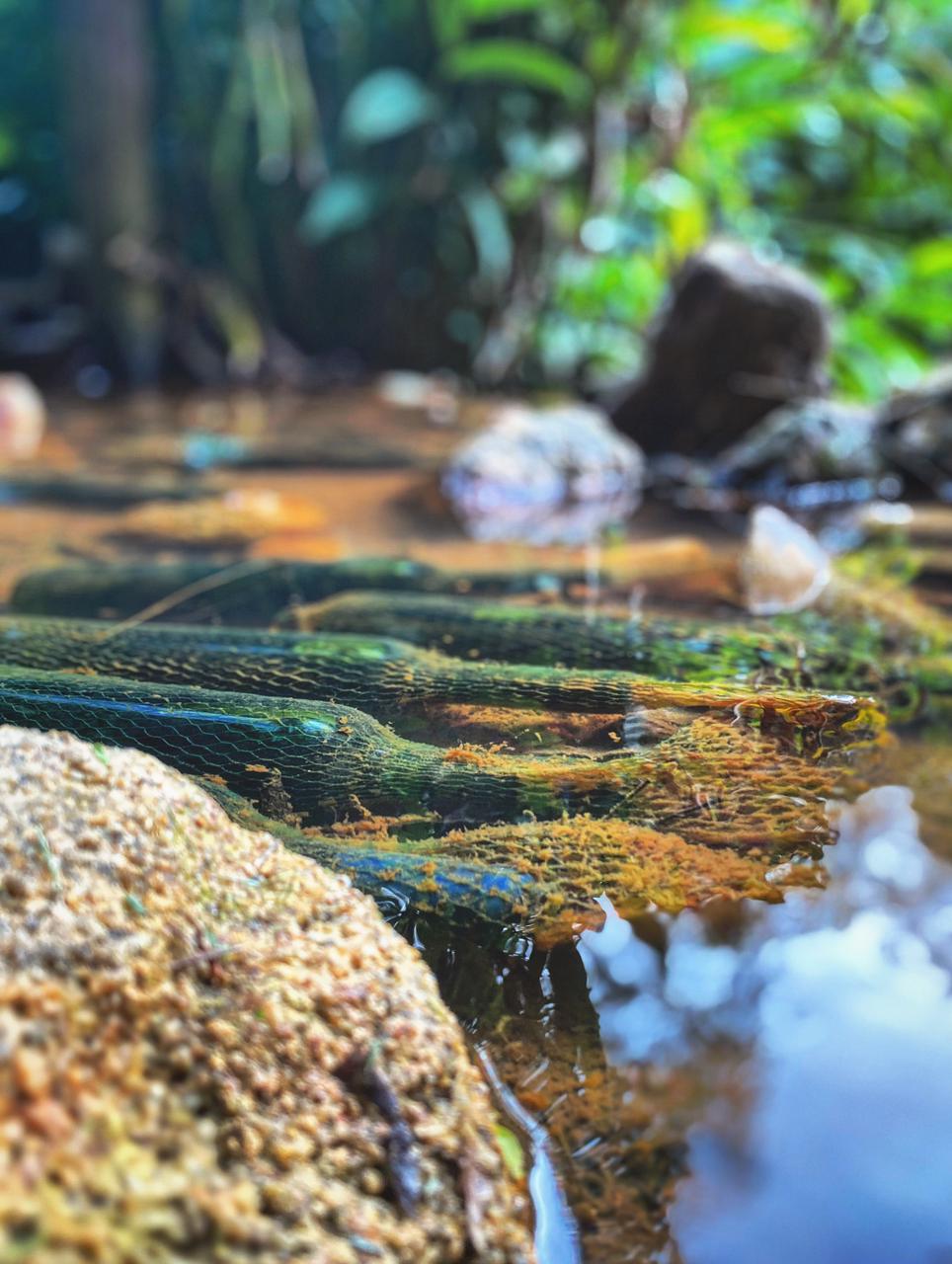 Vinícola Vinhos São Roque